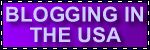 bloggingintheusa